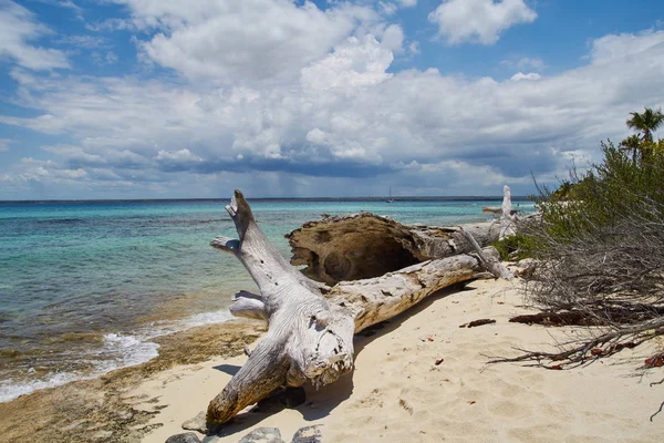 Bella Vista Sulla Riva Del Mare — Foto Stock