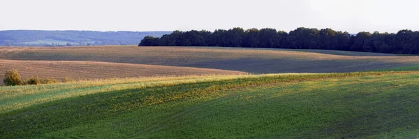 Landbouwgebied Avond — Stockfoto
