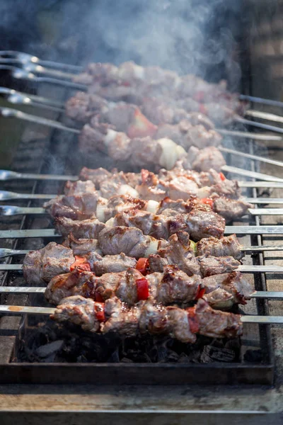 Hete Geroosterde Shashlik Metalen Spiesen Straatvoedsel — Stockfoto