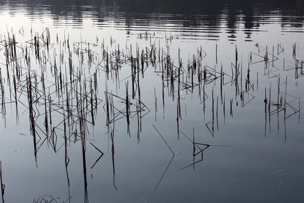 Reeds Lake Wasserspieglung — Stock Photo, Image