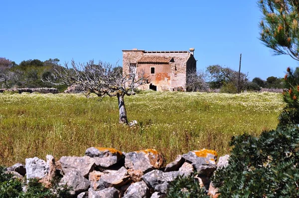 Mallorca Leste Perto Canyamel — Fotografia de Stock