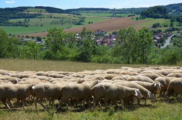 Pittoresk Utsikt Över Landskapet — Stockfoto