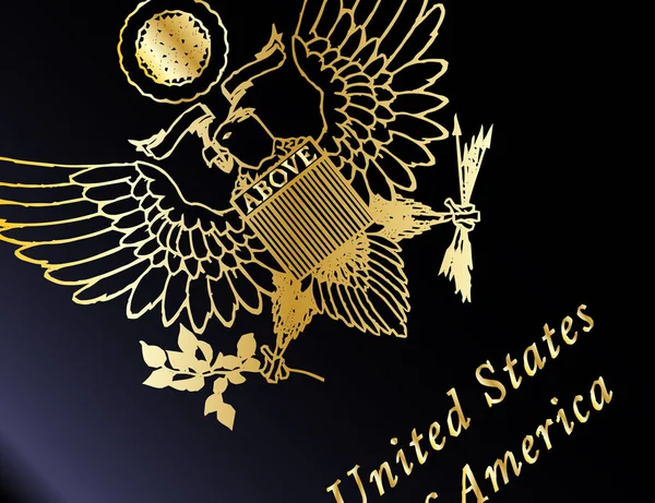 Spojené Státy Americké Cestovní Pas Closeup — Stock fotografie