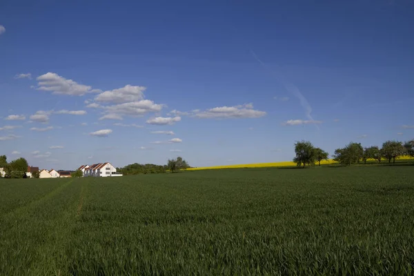 Paisagem Perto Ulm Einsingen40 — Fotografia de Stock