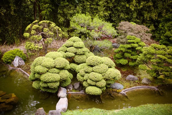 Jardín Japonés San Francisco —  Fotos de Stock