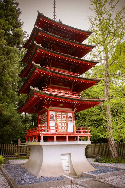 Jardín Japonés San Francisco — Foto de Stock