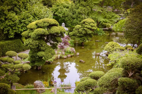 Jardin Japonais Thé San Francisco — Photo