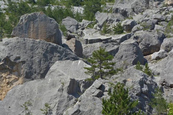 Vacker Utsikt Över Naturen Landskap — Stockfoto