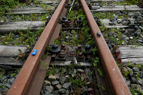 Carriles Tren Vacíos Campo — Foto de Stock