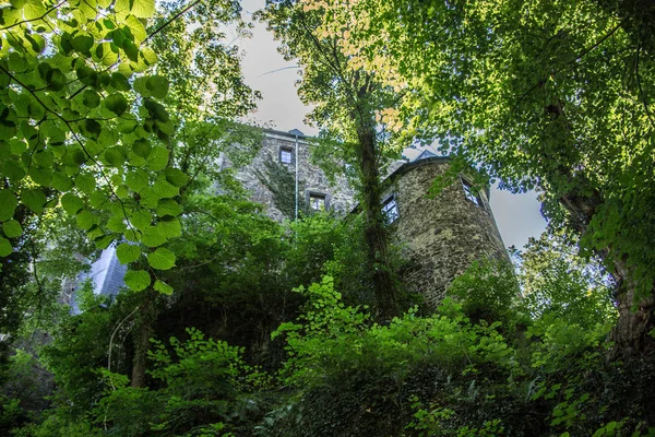 Vista Panorámica Majestuosa Arquitectura Medieval Del Castillo —  Fotos de Stock