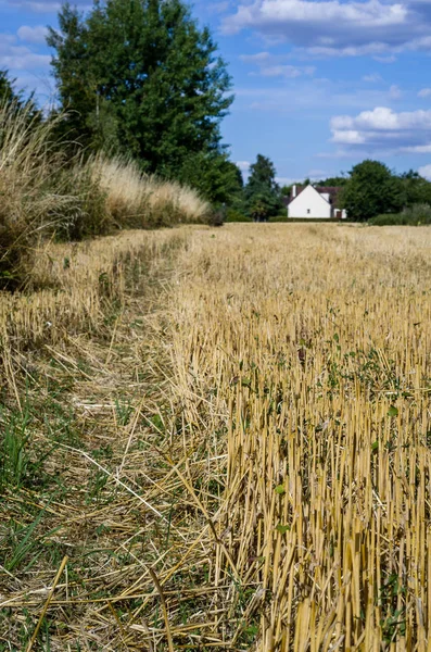 Photo Dry Field France — Stock Photo, Image