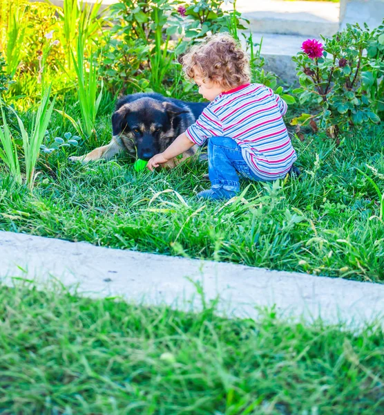 Portrait Year Old Baby Boy Playing His Dog Friend — Stock Photo, Image