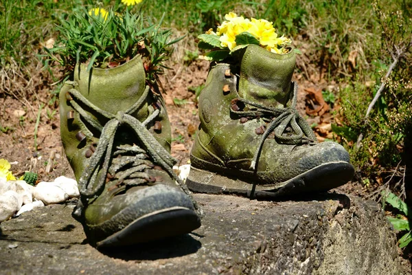 Botas Caminhada Velhas Com Flores Jardim — Fotografia de Stock