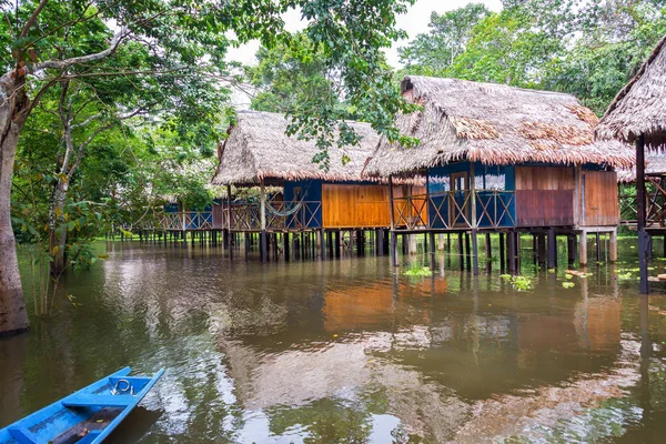 Дождевых Лесах Амазонки Затопленной Местности Сваях Недалеко Города Иос Перу — стоковое фото