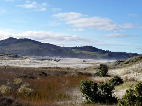 Endloser Menschenleerer Strand Von Großer Barriere Island Neuseeland — Stockfoto