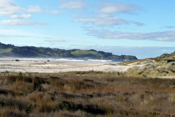 Endloser Menschenleerer Strand Von Großer Barriere Island Neuseeland — Stockfoto