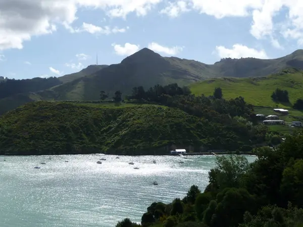 Ακτή Και Τοπίο Στο Νότιο Νησί Της Νέας Ζηλανδίας — Φωτογραφία Αρχείου