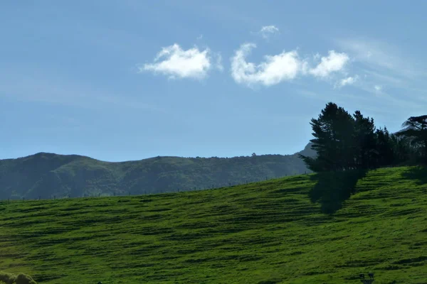 ニュージーランドの南の島の風景は — ストック写真