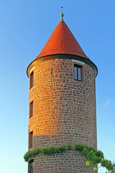 Історична Водонапірна Вежа Горі Dilsberg Neckar — стокове фото