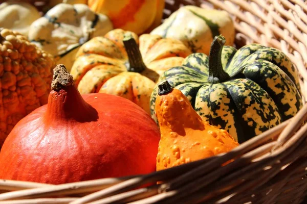 Uncooked Vegetarian Food Selective Focus — Stock Photo, Image