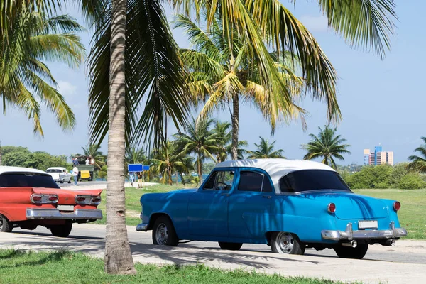Cuba American Vintage Estacionado Bajo Palmeras — Foto de Stock