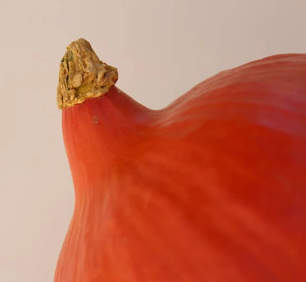 Ongekookt Vegetarisch Voedsel Selectieve Focus — Stockfoto