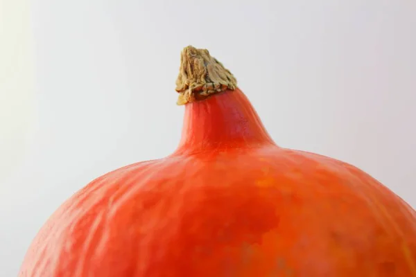 不同的食物 不同的重点 — 图库照片