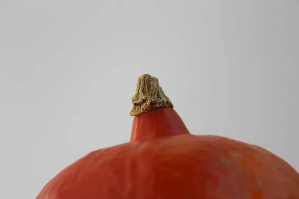 Ongekookt Vegetarisch Voedsel Selectieve Focus — Stockfoto