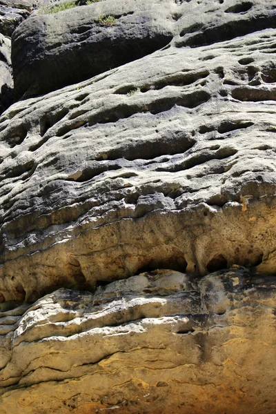 Arenisca Saxon Switzerland Elbsandsteingebirge — Foto de Stock