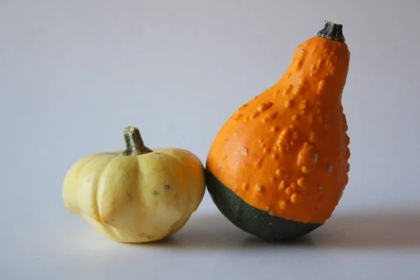 Calabazas Ecológicas Verduras Calabaza Alimentos Vegetales —  Fotos de Stock