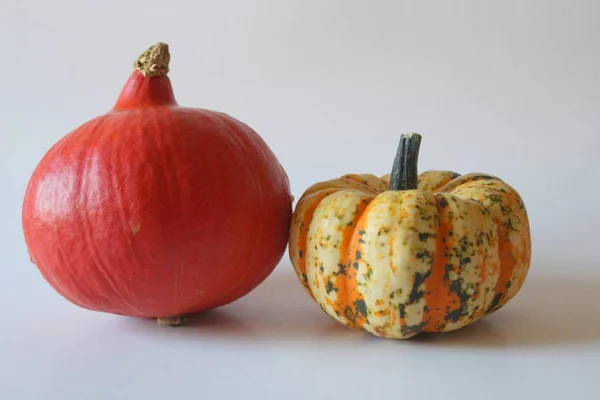 Calabazas Ecológicas Verduras Calabaza Alimentos Vegetales —  Fotos de Stock