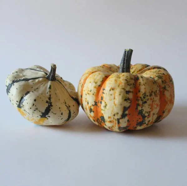 Calabazas Ecológicas Verduras Calabaza Alimentos Vegetales —  Fotos de Stock