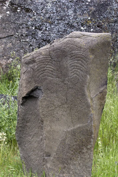 Native Anerican Indians Scorpion Petrogylph Rock Artwork Horseburden Lake Washington — 스톡 사진