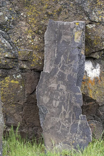 Native Indian Anerican Wildlife Birds Zwierząt Petrogylphs Rock Artwork Horsethief — Zdjęcie stockowe