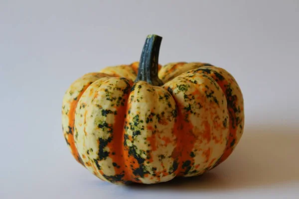 Calabaza Aislada Sobre Fondo Blanco —  Fotos de Stock