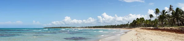 Palmiye Ağacı Plajının Panoramik Görüntüsü — Stok fotoğraf