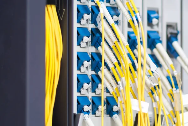 Fibra Óptica Com Servidores Data Center Tecnologia — Fotografia de Stock