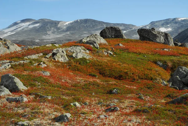 Noruega Sobre Paisagem Natural Fundo — Fotografia de Stock