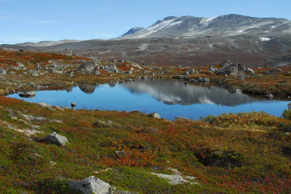 Vista Pittoresca Della Scena Della Natura — Foto Stock