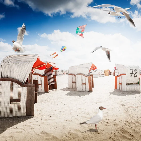 Hooded Chairs Sand Beach Sea Gulls Kites Flying Blue Cloudy — Stock Photo, Image