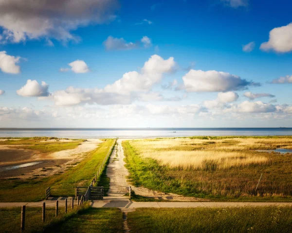 Duinlandschap Met Pad Naar Het Strand Noordzeekust Met Wolkenlucht Natuurreservaat — Stockfoto