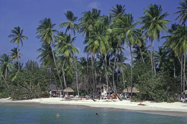 Praia Palmeiras Ilha Caribe Tobago — Fotografia de Stock