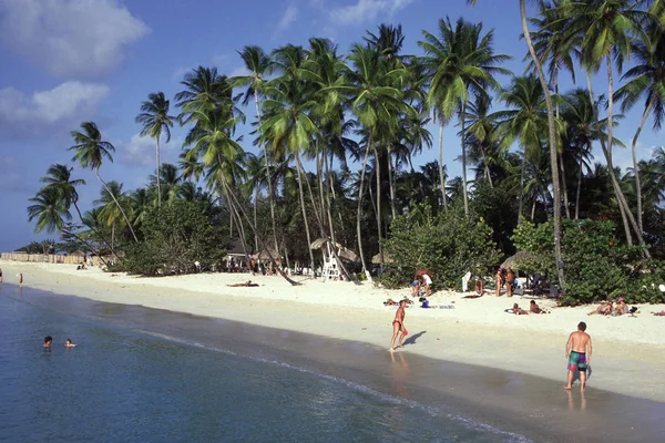 Piaszczysta Plaża Karaibskiej Wyspie Tobago Palmami — Zdjęcie stockowe