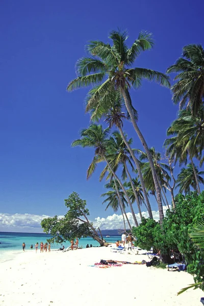 Praia Areia Ilha Caribe Tobago Com Palmeiras — Fotografia de Stock