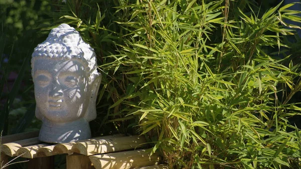 White Buddha Head Next Bamboo Plant — Stock Photo, Image