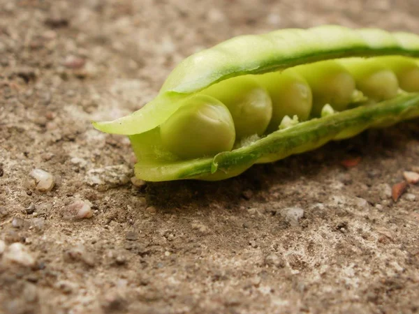 Vegetarische Kost Selektiver Fokus — Stockfoto