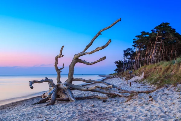 Bellissimo Paesaggio Tropicale Spiaggia — Foto Stock