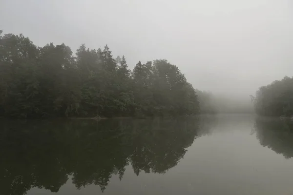 Ранним Утром Туман Озере — стоковое фото