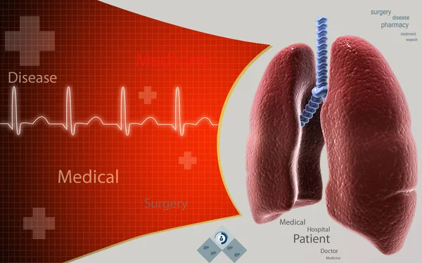 Digital Illustration Human Lungs Colour Background — Stockfoto