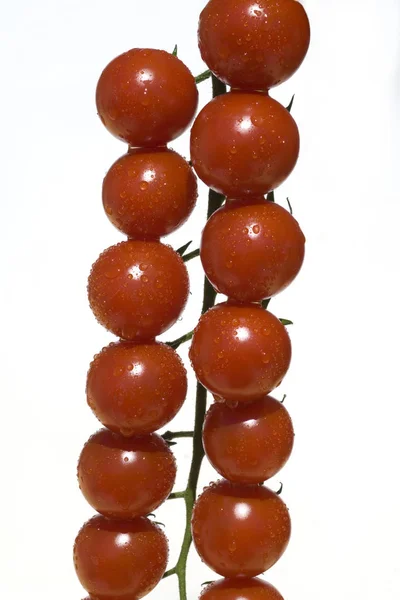 Cocktailtomaten Cherry Tomaten Kirschtomaten — стокове фото